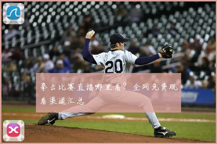 拳击比赛直播哪里看？全网免费观看渠道汇总