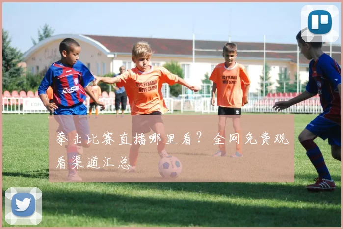 拳击比赛直播哪里看？全网免费观看渠道汇总